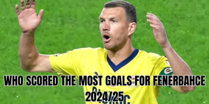 who scored the most goals for fenerbahce 202425